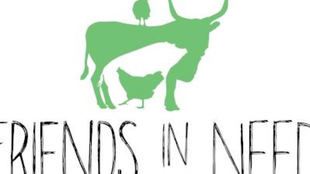 Friends In Need Animal Sanctuary