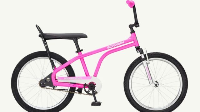 schwinn-krate-evo-20in-125-00-outdoors-spor-543338922_large-2.jpg